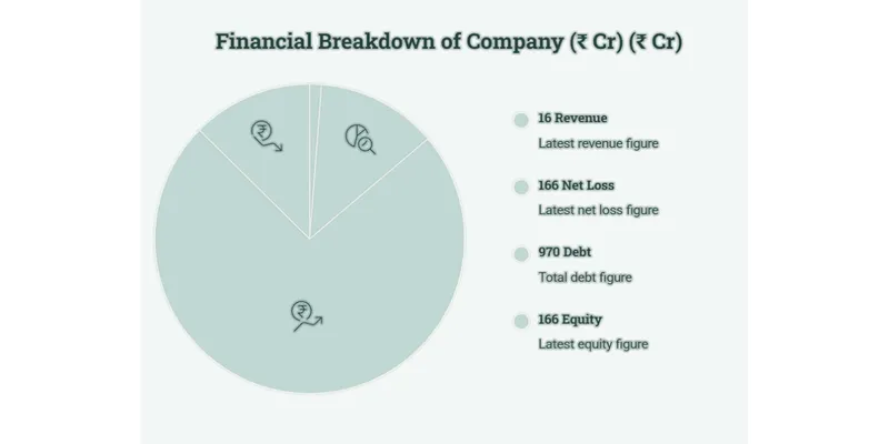 “Analysing the Financial Report of SEL Manufacturing Company Ltd”